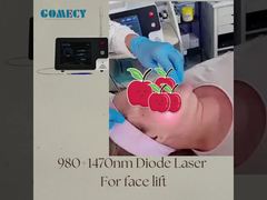 panasea endolaser endolift